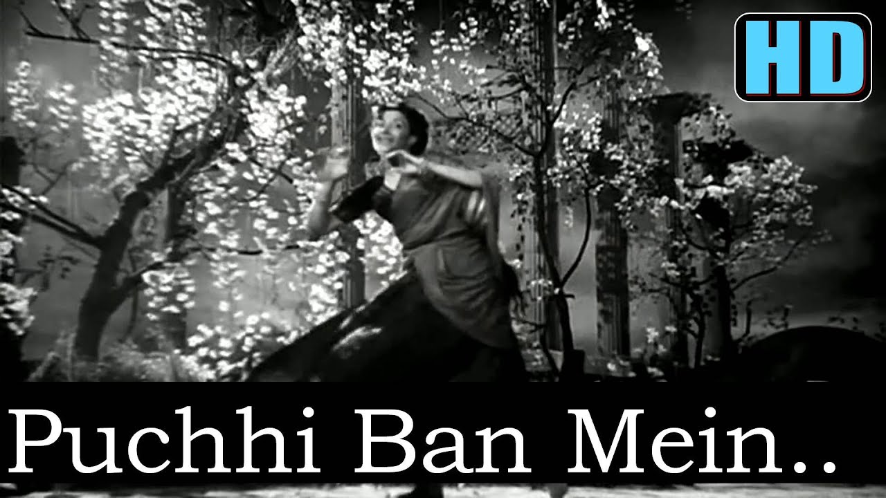 Panchhi Ban Mein - Song Cover Image