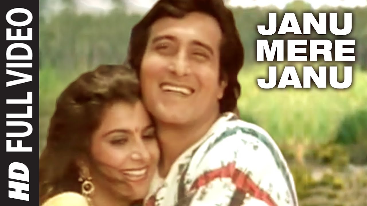 Jaanu Meri Jaanu - Song Cover Image