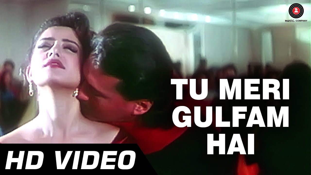 Tu Meri Gulfam Hai - Song Cover Image