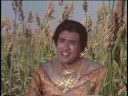 O Firkiwali Tu Kal Phir Aana - Song Cover Image