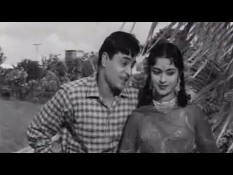 Teri Pyari Pyari Surat - Song Cover Image