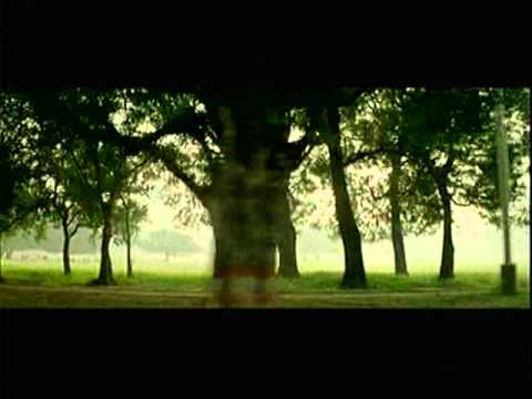 Bhor Bhayo - Song Cover Image