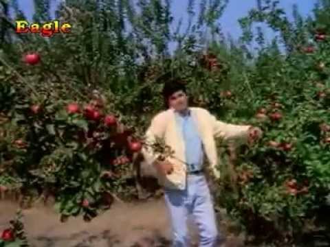 Yeh Parda Hata Do - Song Cover Image