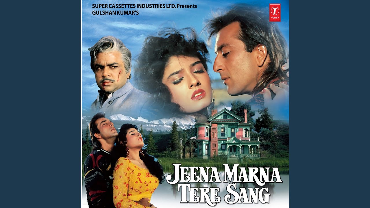 Tere Liye Laaya Hoon Main - Song Cover Image
