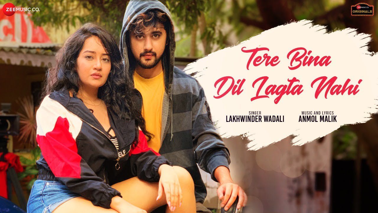 Tere Bina Dil Lagta Nahi - Song Cover Image