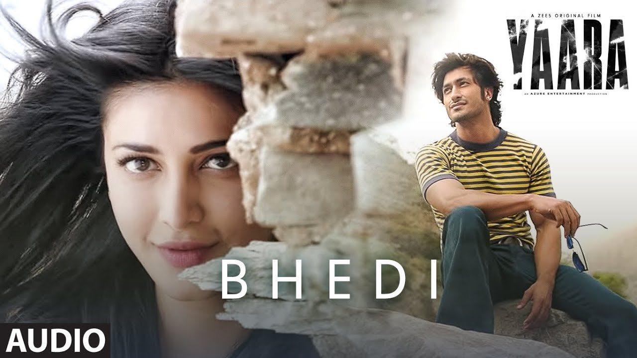 Bhedi - Song Cover Image