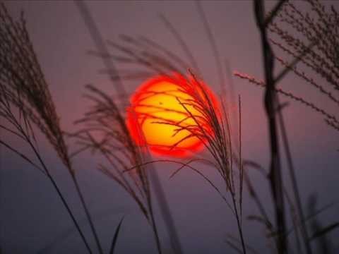 Champai Dhoop To Saye - Song Cover Image