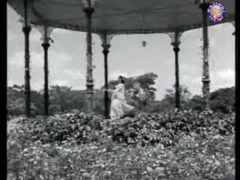 Mujhko Apne Gale Lagalo - Song Cover Image