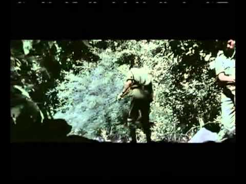 Mai Zindagi Ka Sath - Song Cover Image