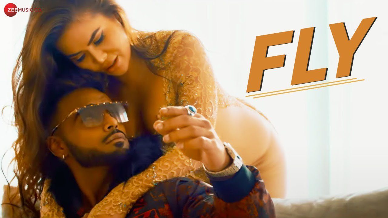 Fly - Song Cover Image