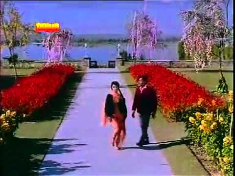Ai Phulon Ki Raani Bahaaron Ki Malikaa - Song Cover Image