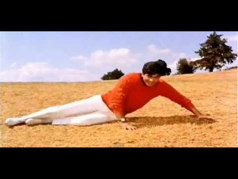 Mast Baharon Ka Main Aashiq - Song Cover Image