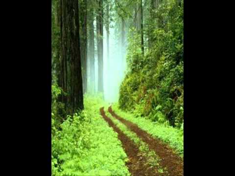 Bahot Khubsoorat Ghazal - Song Cover Image