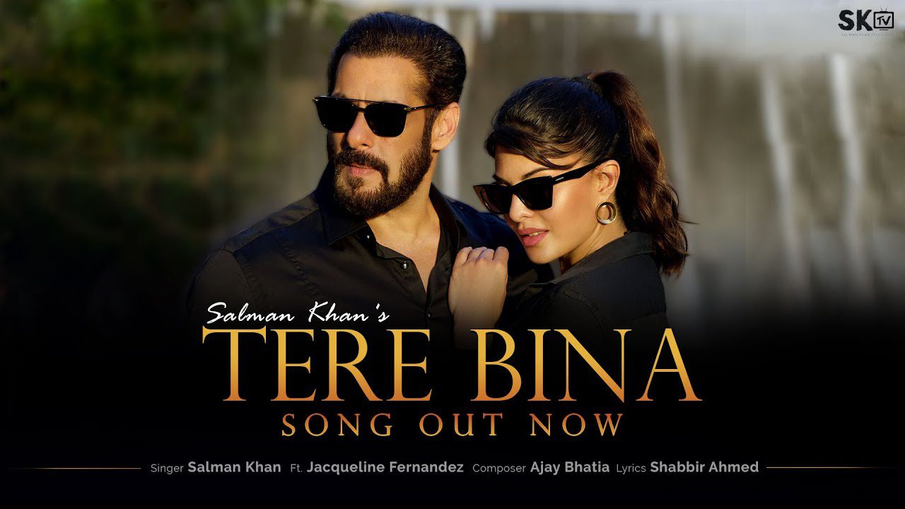Tere Bina - Song Cover Image