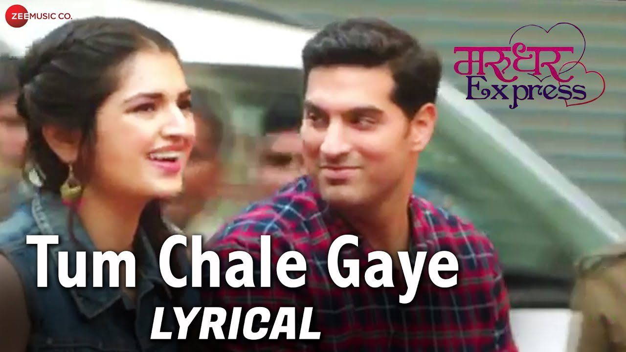 Tum Chale Gaye - Song Cover Image