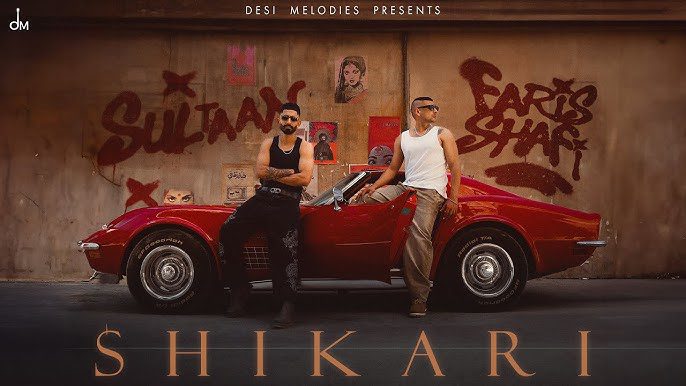 Shikari - Song Cover Image
