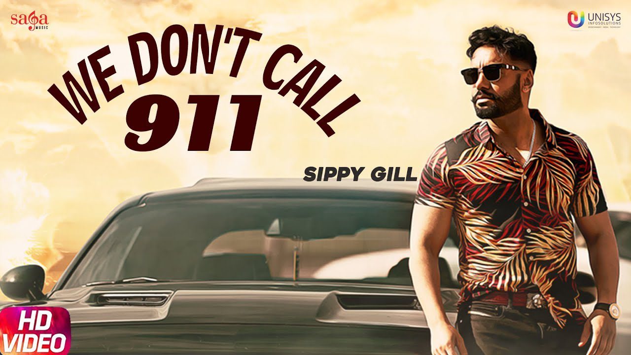 We Don't Call 911 (Title) - Song Cover Image