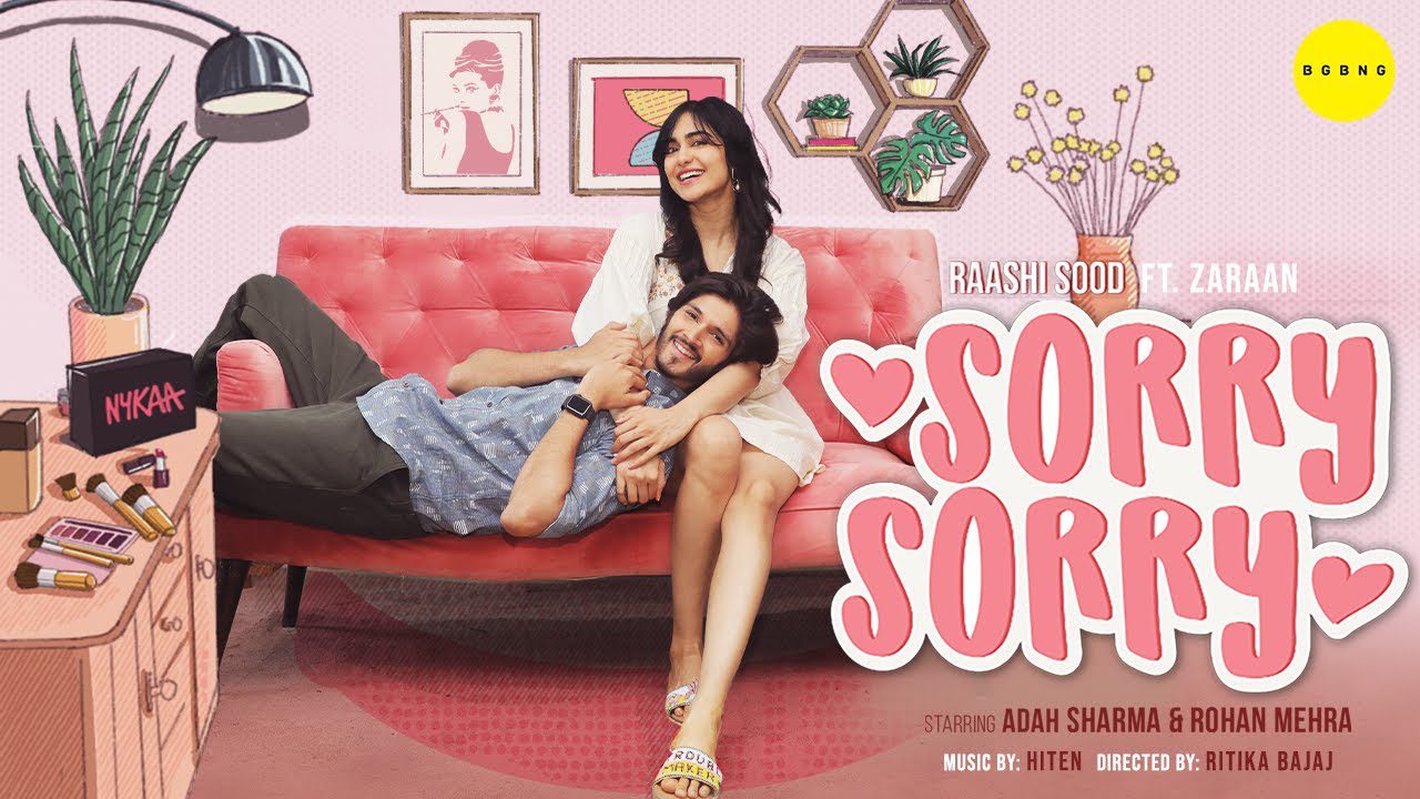 Sorry Sorry - Song Cover Image