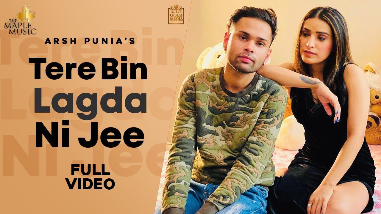 Tere Bina Lagda Na Jee - Song Cover Image