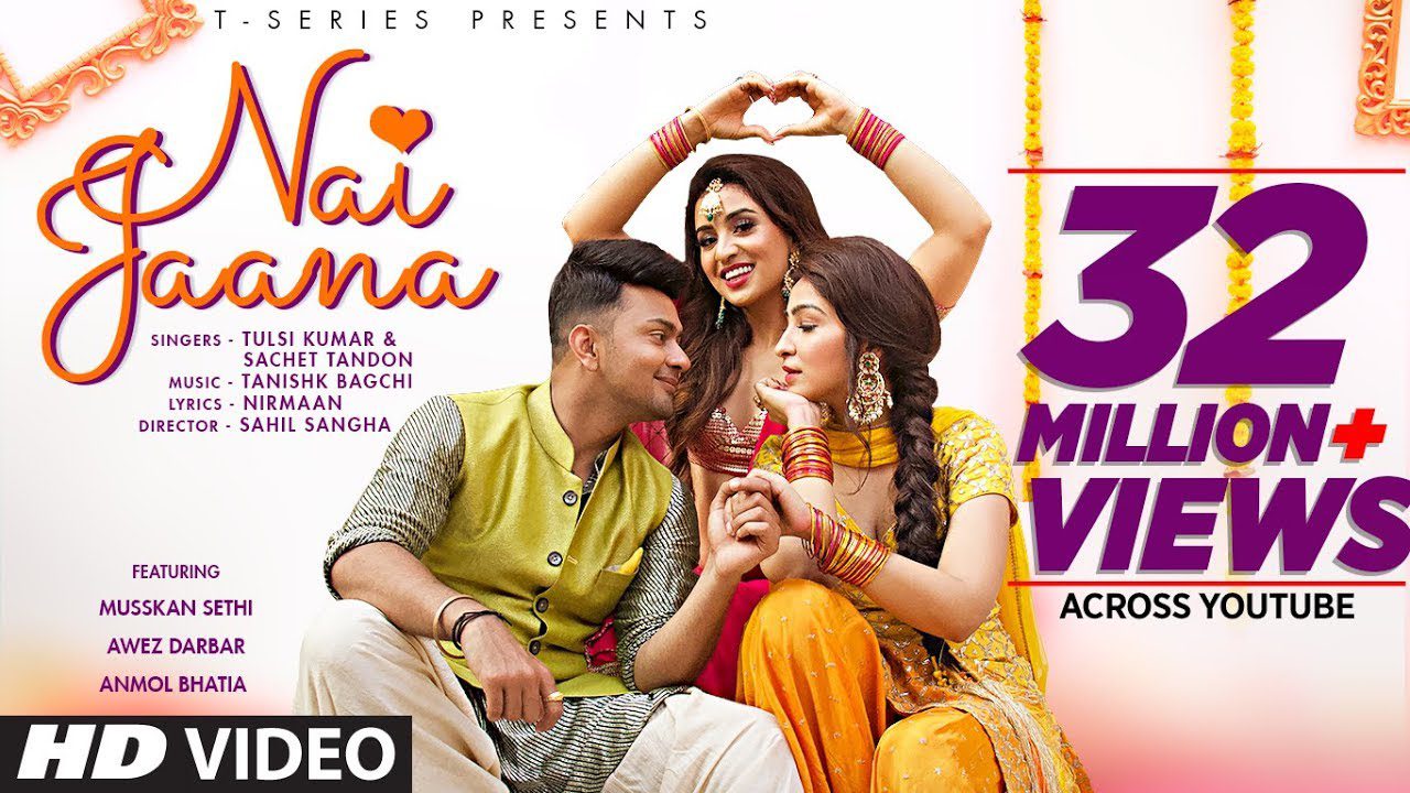 Nai Jaana (Title) - Song Cover Image