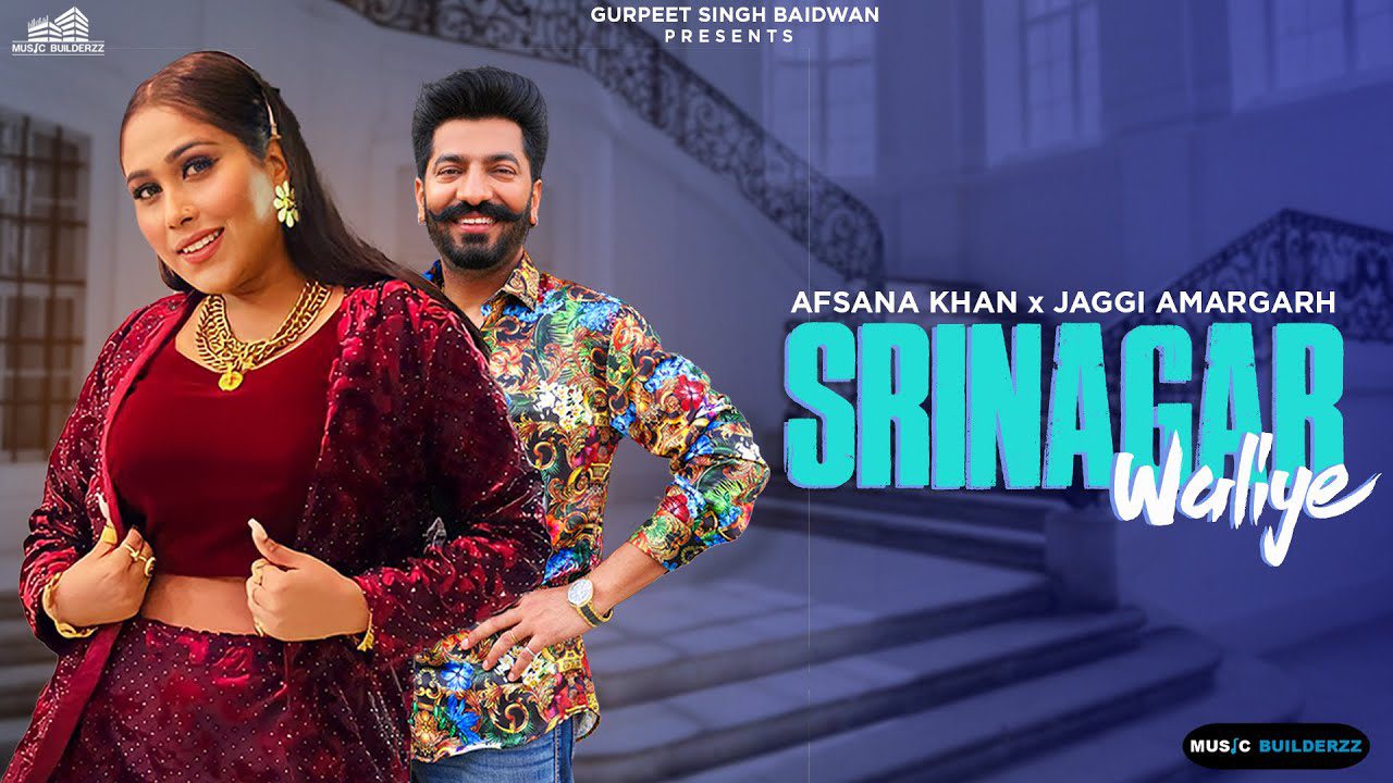 Srinagar Waliye - Song Cover Image