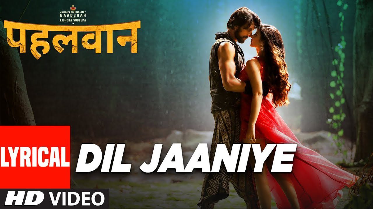 Dil Jaaniye - Song Cover Image