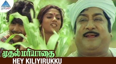 Hey Kiliyirukku - Song Cover Image