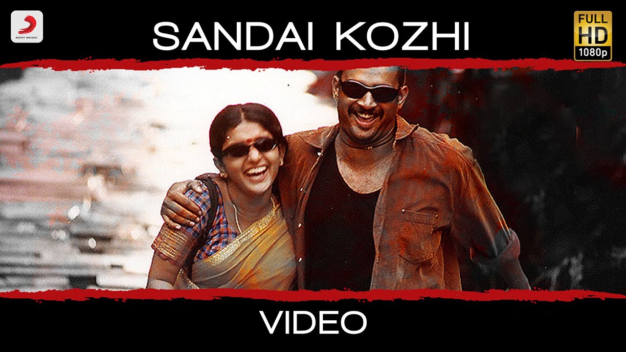 Sandai Kozhi - Song Cover Image