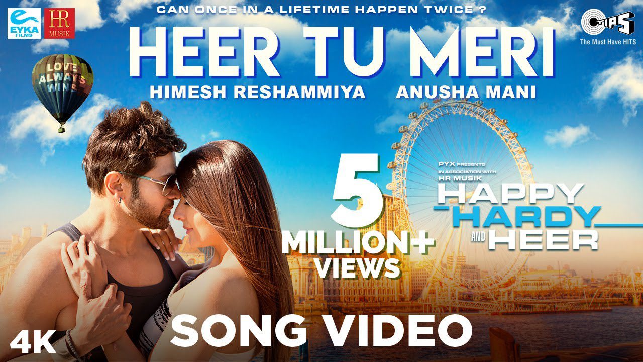Heer Tu Meri - Song Cover Image