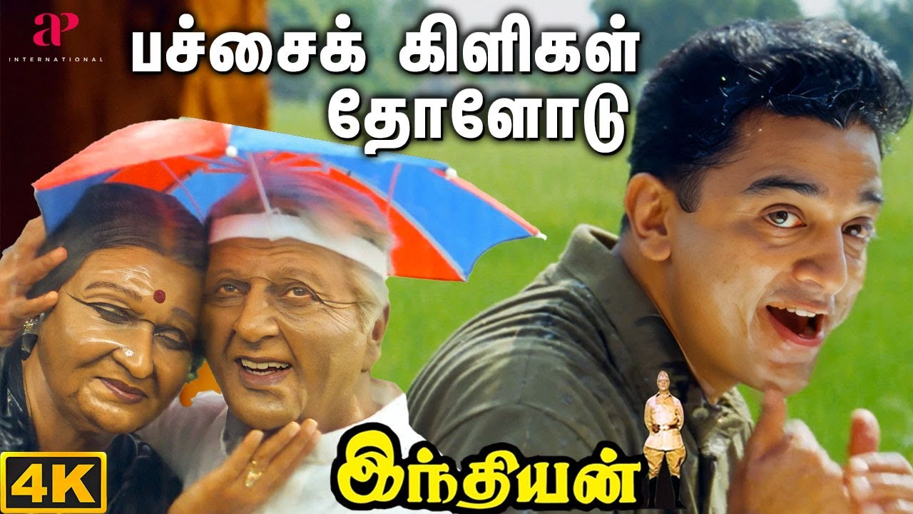 Pachai Kiligal Tholodu - Song Cover Image