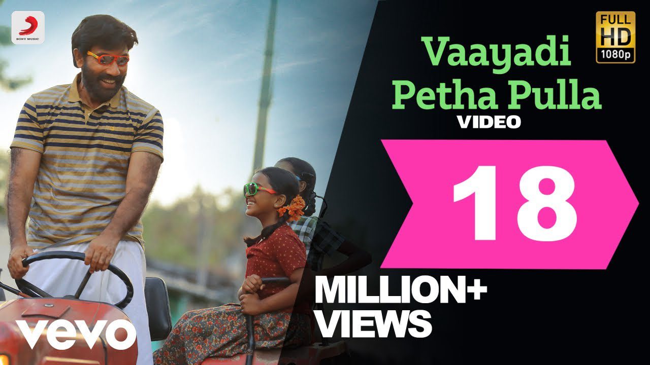 Vaayadi Petha Pulla - Song Cover Image