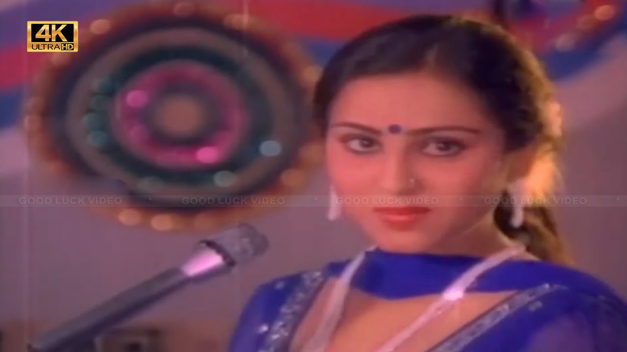 Isai Paadum Paravai - Song Cover Image