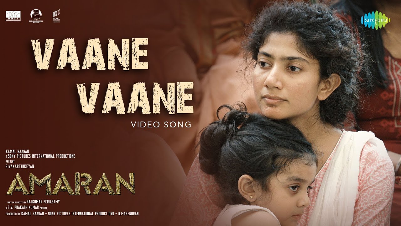 Vaane Vaane - Song Cover Image