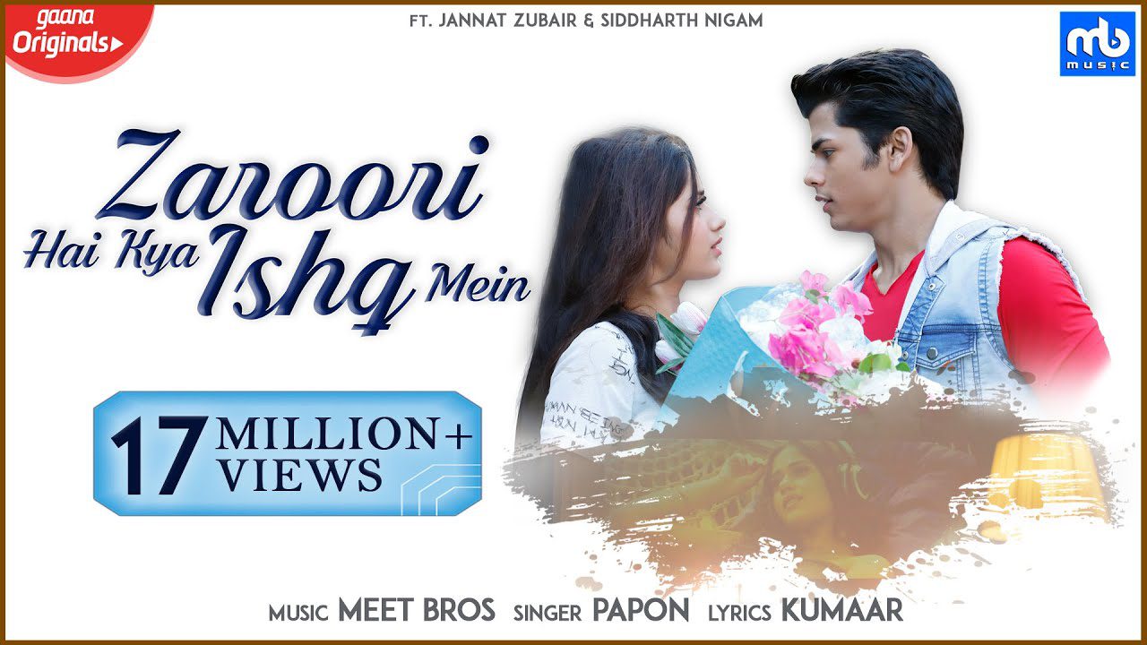 Zaroori Hai Kya Ishq Mein (Title) - Song Cover Image