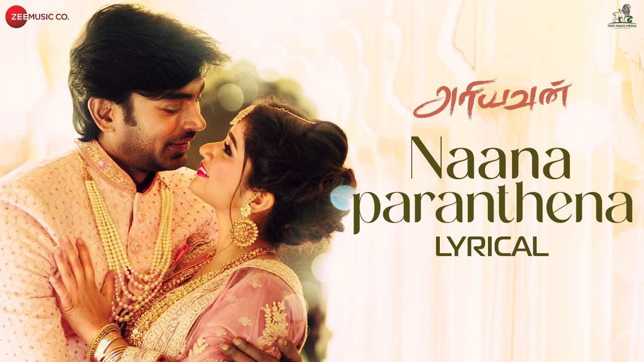 Naana Paranthena - Song Cover Image