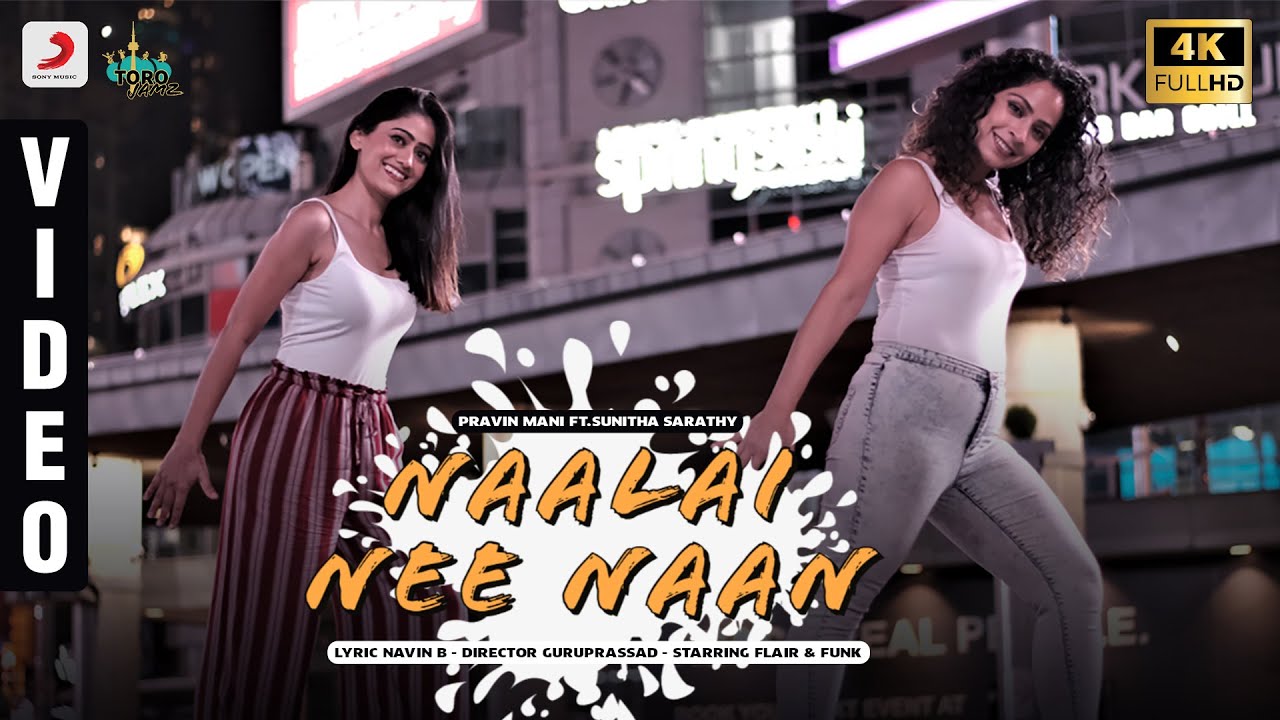 Naalai Nee Naan - Song Cover Image