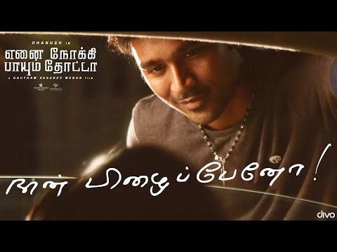 Naan Pizhaippeno - Song Cover Image