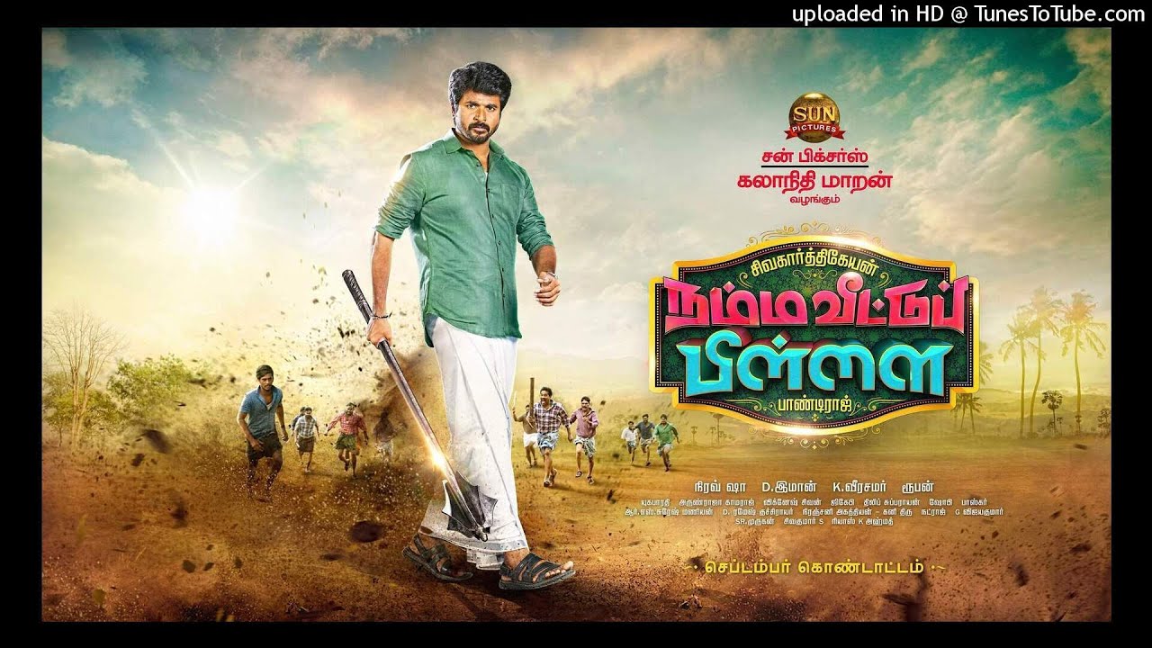 Namma Veettu Pillai (Theme Song) - Song Cover Image