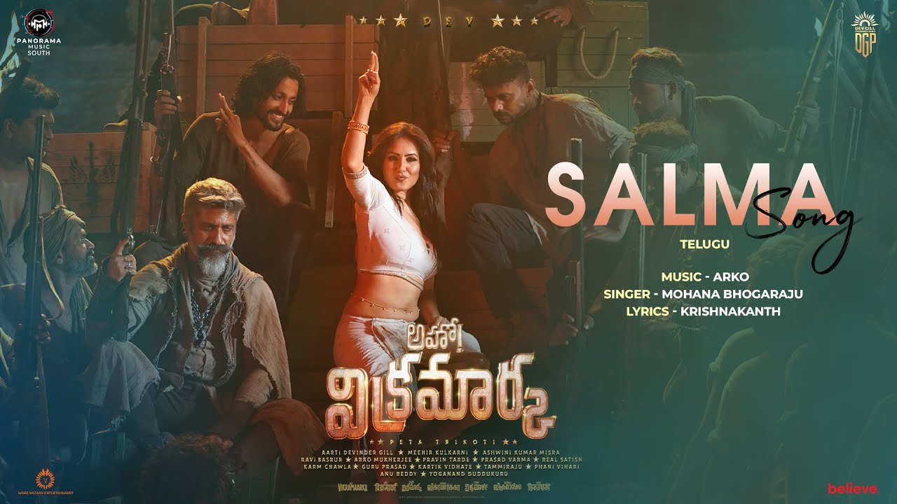 Salma Song - Song Cover Image
