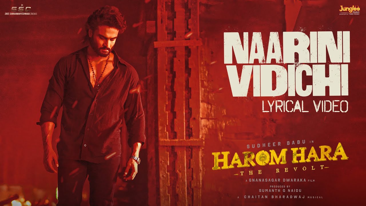 Naarini Vidichi - Song Cover Image