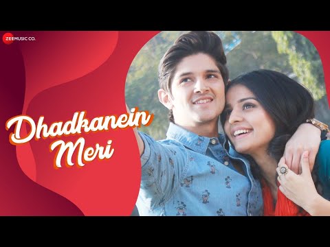 Dhadkanein Meri (Title) - Song Cover Image