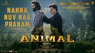 Nanna Nuv Naa Pranam - Song Cover Image