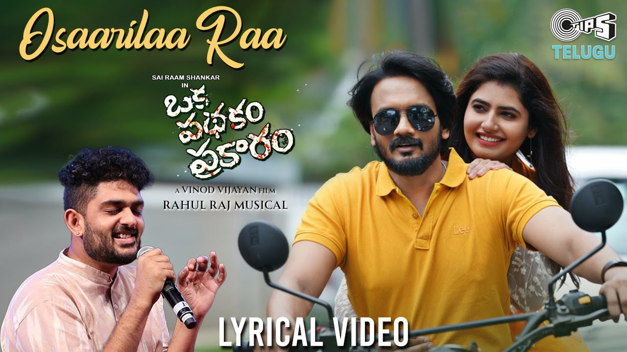 Osaarilaa Raa - Song Cover Image