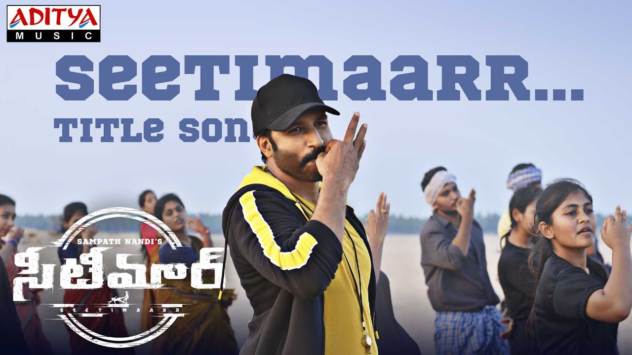Seetimaarr​ (Title Track) - Song Cover Image