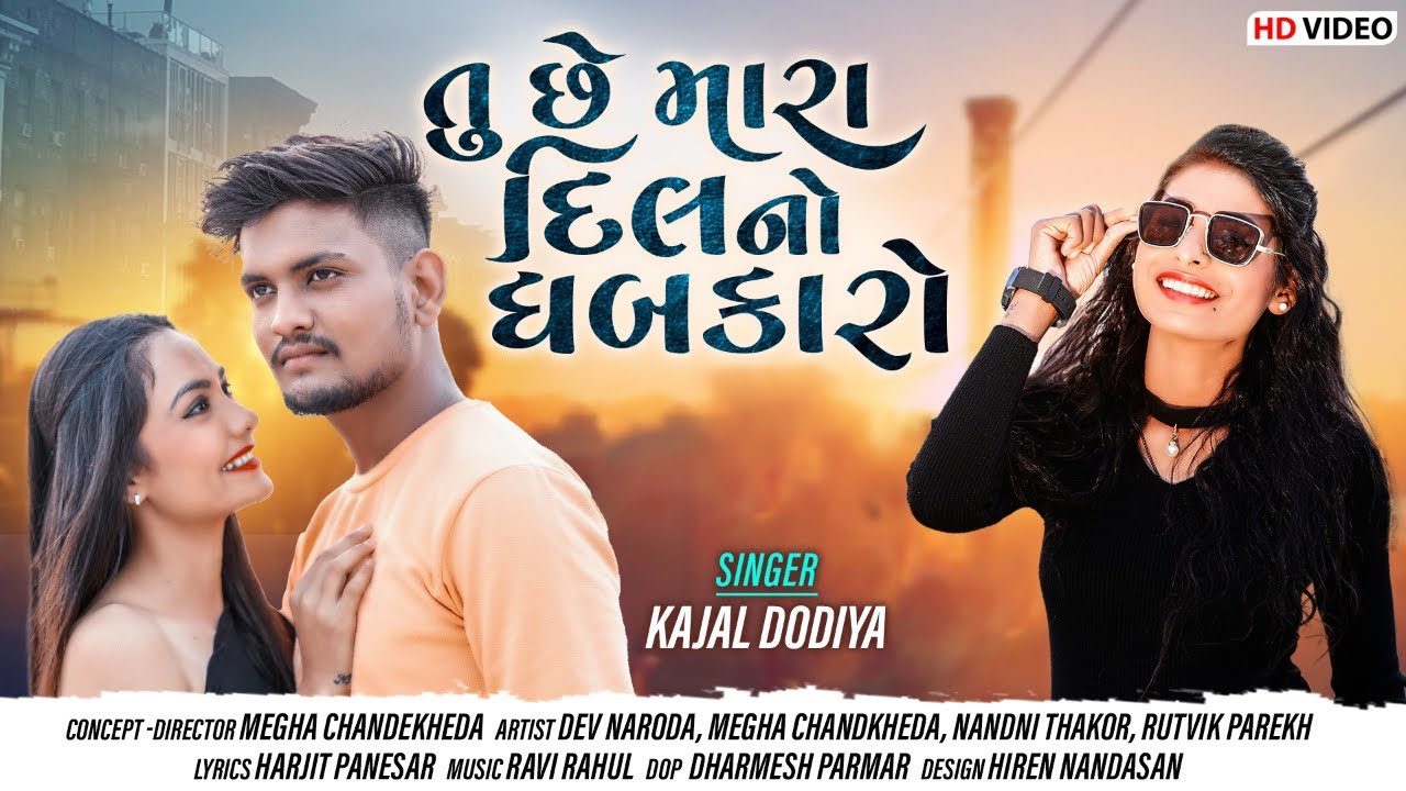 Tu Chhe Mara Dil No Dhabkaro - Song Cover Image