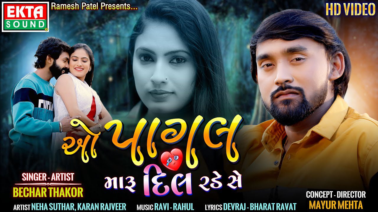 O Pagal Maru Dil Rade Se - Song Cover Image