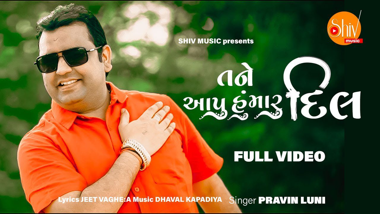Tane Aapu Hu Maru Dil - Song Cover Image