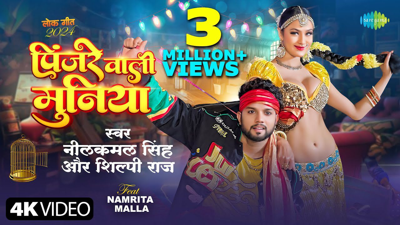 Pinjre Wali Muniya - Song Cover Image