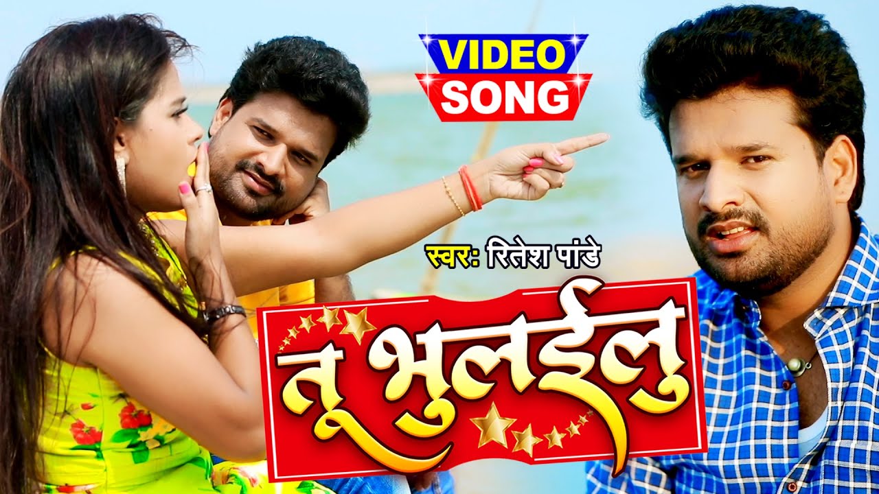 Tu Bhulailu - Song Cover Image