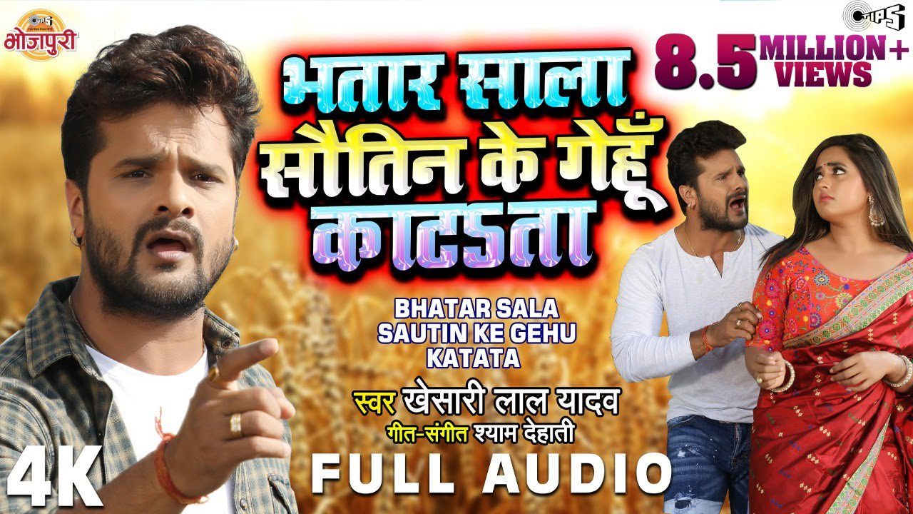Bhatar Sala Sautin Ke Gehu Katata - Song Cover Image